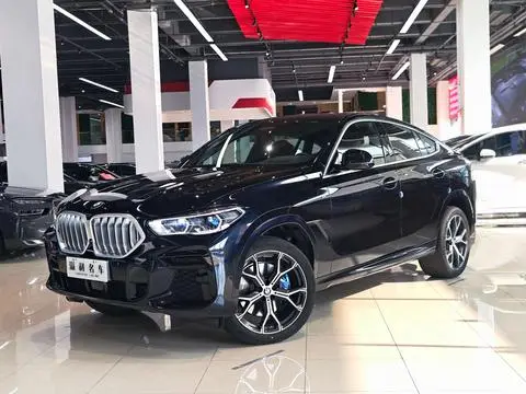 BMW X6 2022