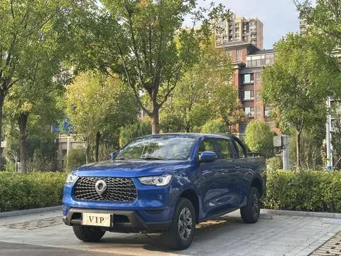 Great Wall 炮 2021