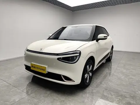 Dongfeng 纳米01 2024