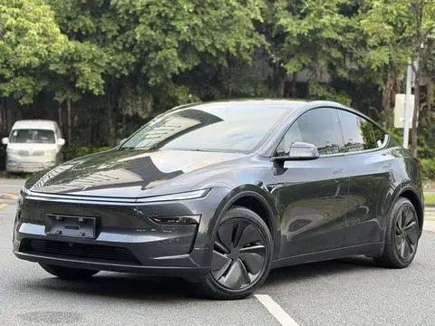 Tesla Model Y 2025 — фото 1