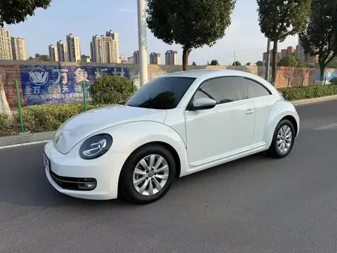 Volkswagen 甲壳虫 2014