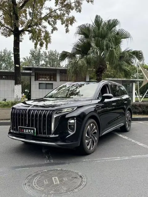 Hongqi HS7 PHEV 2024 — фото 1