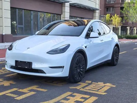 Tesla Model Y 2021 — фото 1
