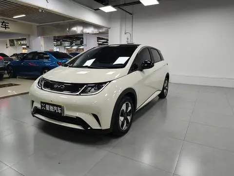 BYD Dolphin 2024