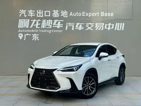 Lexus NX 2024