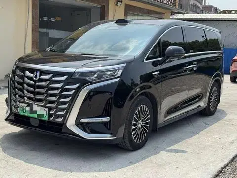 Denza D9 DM 2025
