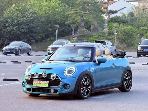 MINI MINI 2020