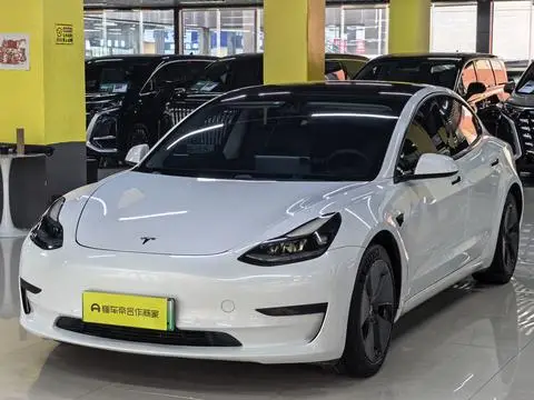 Tesla Model 3 2021 — фото 1