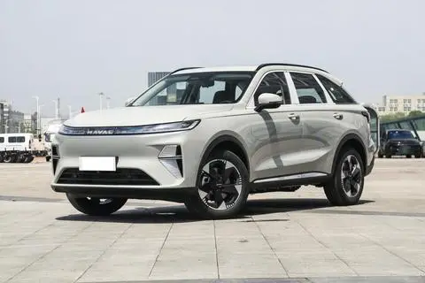 Haval 枭龙MAX 2025