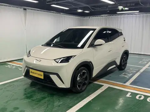 BYD Seagull 2024