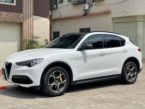 Alfa Romeo Stelvio斯坦维 2020 — фото 1