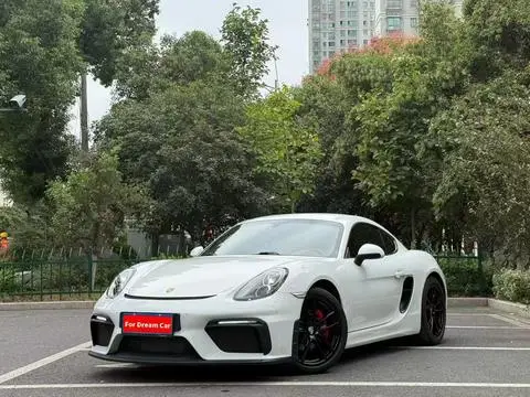 Porsche Cayman 2013