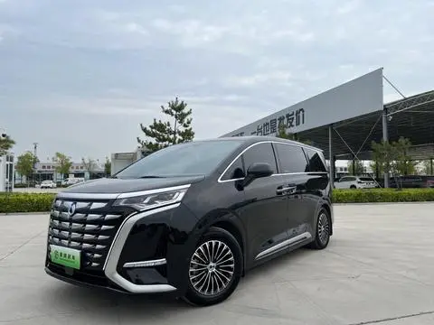 Denza D9 DM 2022