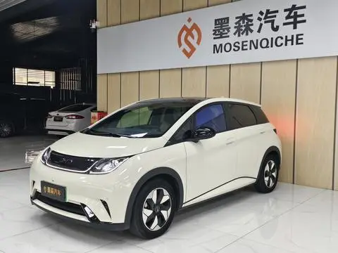 BYD Dolphin 2024
