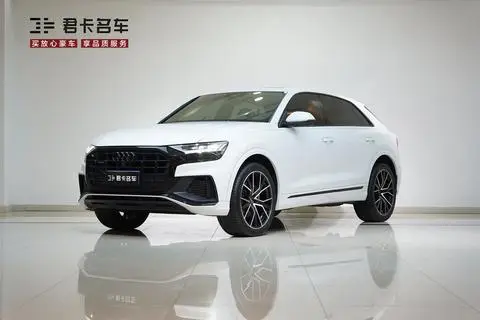 Audi Q8 2019