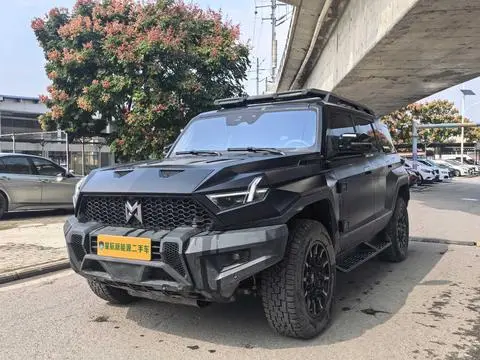 Mengshi 917 2023