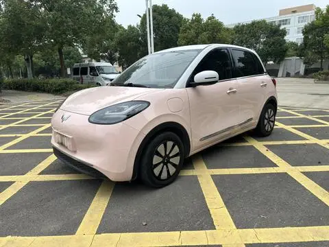Wuling Bingo 2024