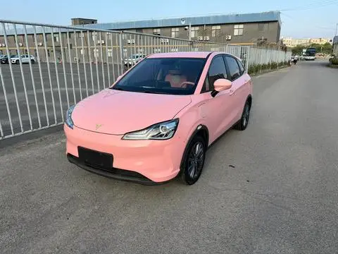 NETA V 2022