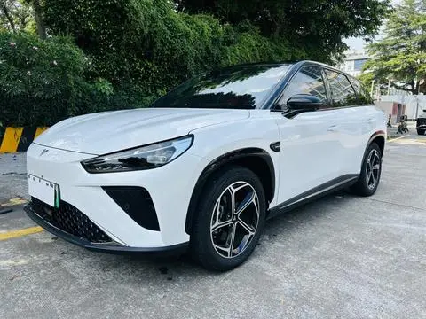 NETA L 2024