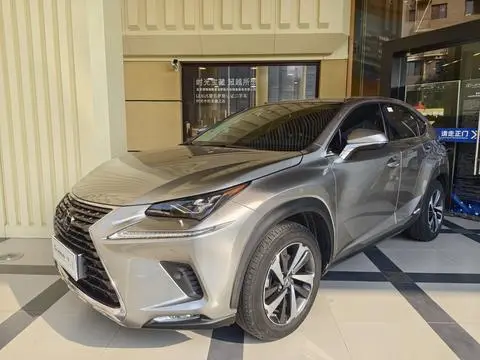 Lexus NX 2020 — фото 1