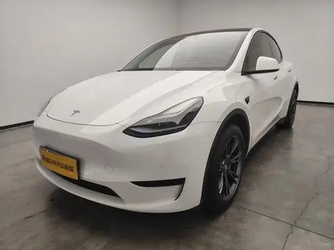 Tesla Model Y 2023 — фото 1