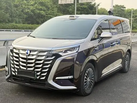 Denza D9 DM 2025