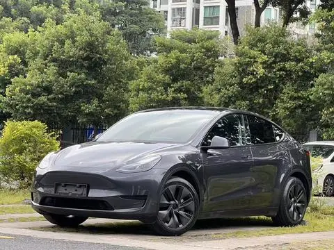 Tesla Model Y 2024 — фото 1