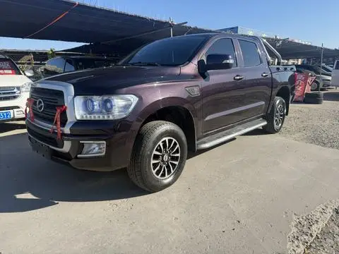 ZX Auto 大领主 2019