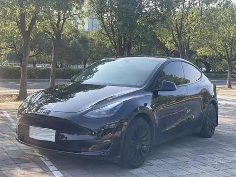 Tesla Model Y 2023 — фото 1