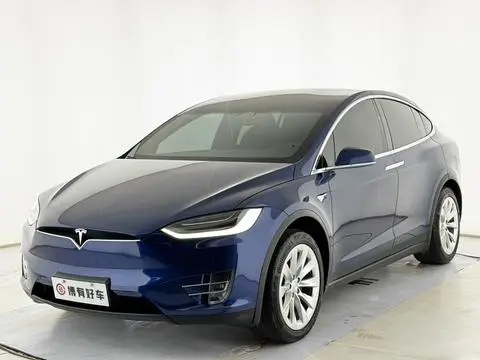 Tesla Model X 2019