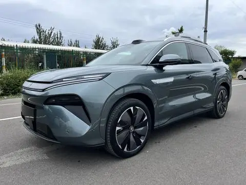 BYD TangL DM 2025