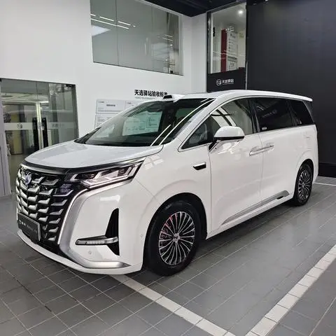 Denza D9 DM 2025