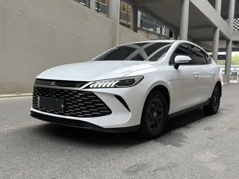 BYD 秦PLUS DM 2025