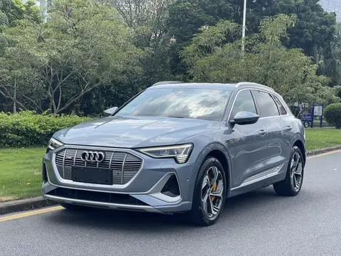 Audi e-tron 2021