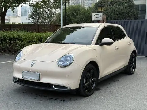 ORA 好猫 2024