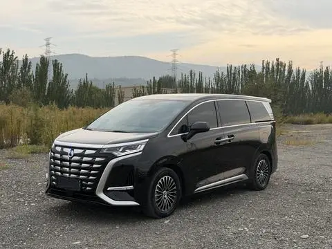 Denza D9 DM 2022