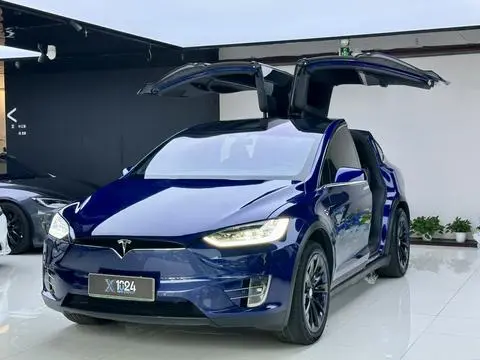 Tesla Model X 2019 — фото 1