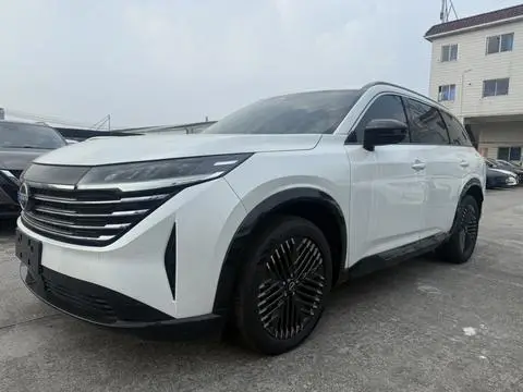 Nissan 探陆 2024