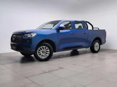 Great Wall 炮 2019