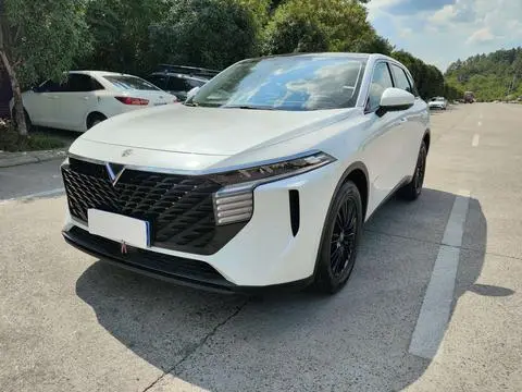 Venucia 大V 2023