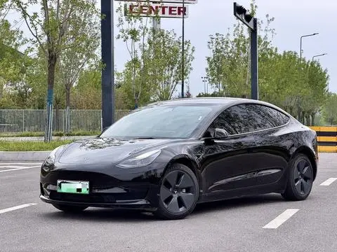 Tesla Model 3 2021 — фото 1