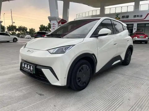 BYD Seagull 2024