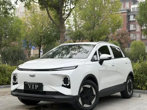 Geely E萤火虫 2024