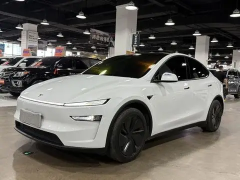Tesla Model Y 2025 — фото 1