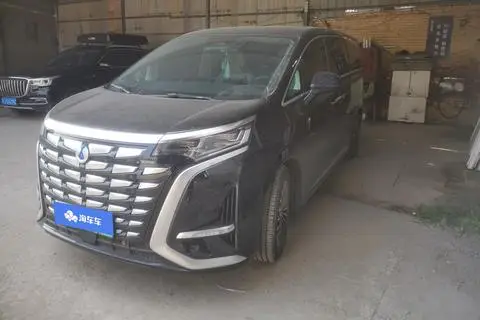 Denza D9 DM 2024