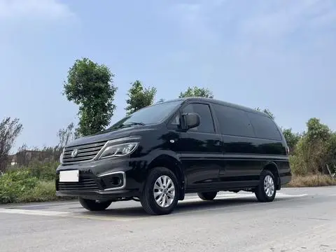 Forthing Lingzhi 2018