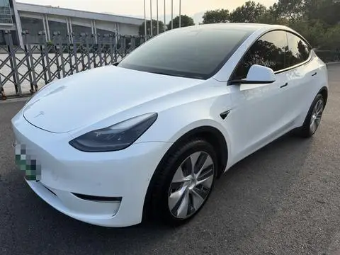 Tesla Model Y 2021 — фото 1