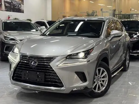 Lexus NX 2020