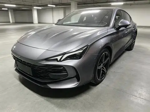 MG 7 2023
