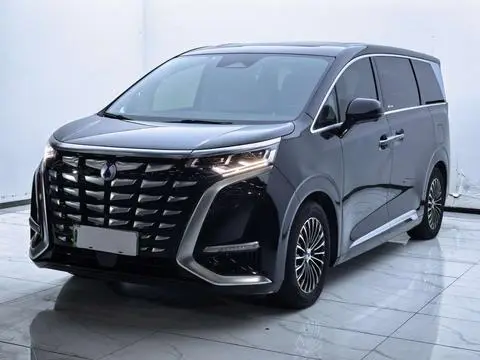 Denza D9 DM 2024
